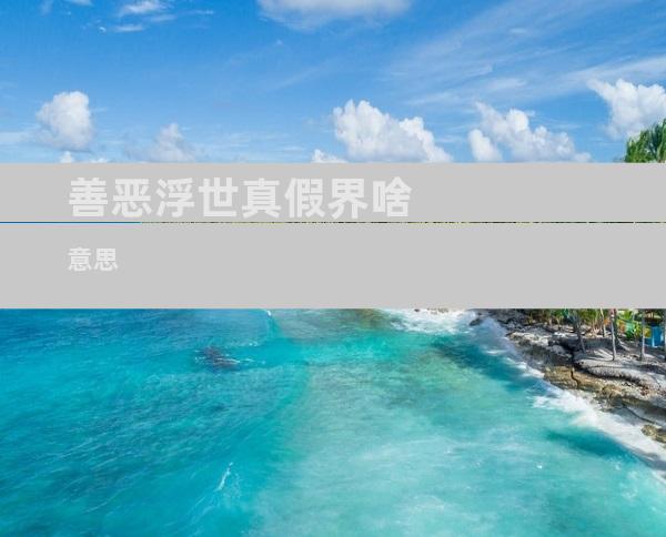 善恶浮世真假界啥意思