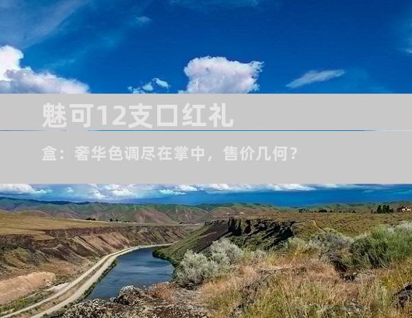 魅可12支口红礼盒：奢华色调尽在掌中，售价几何？