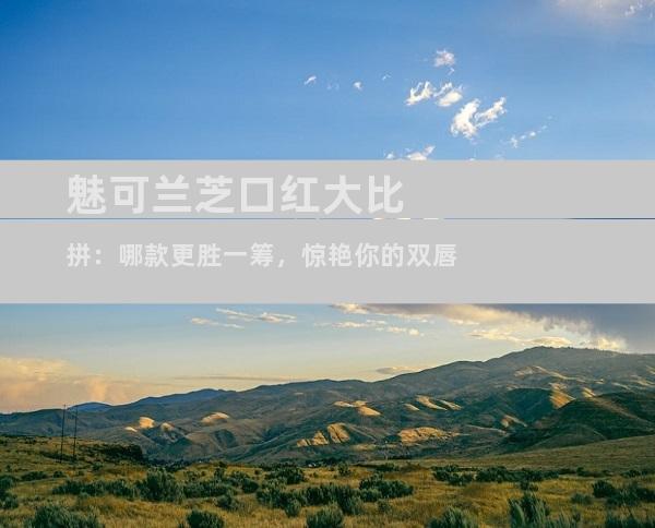 魅可兰芝口红大比拼：哪款更胜一筹，惊艳你的双唇
