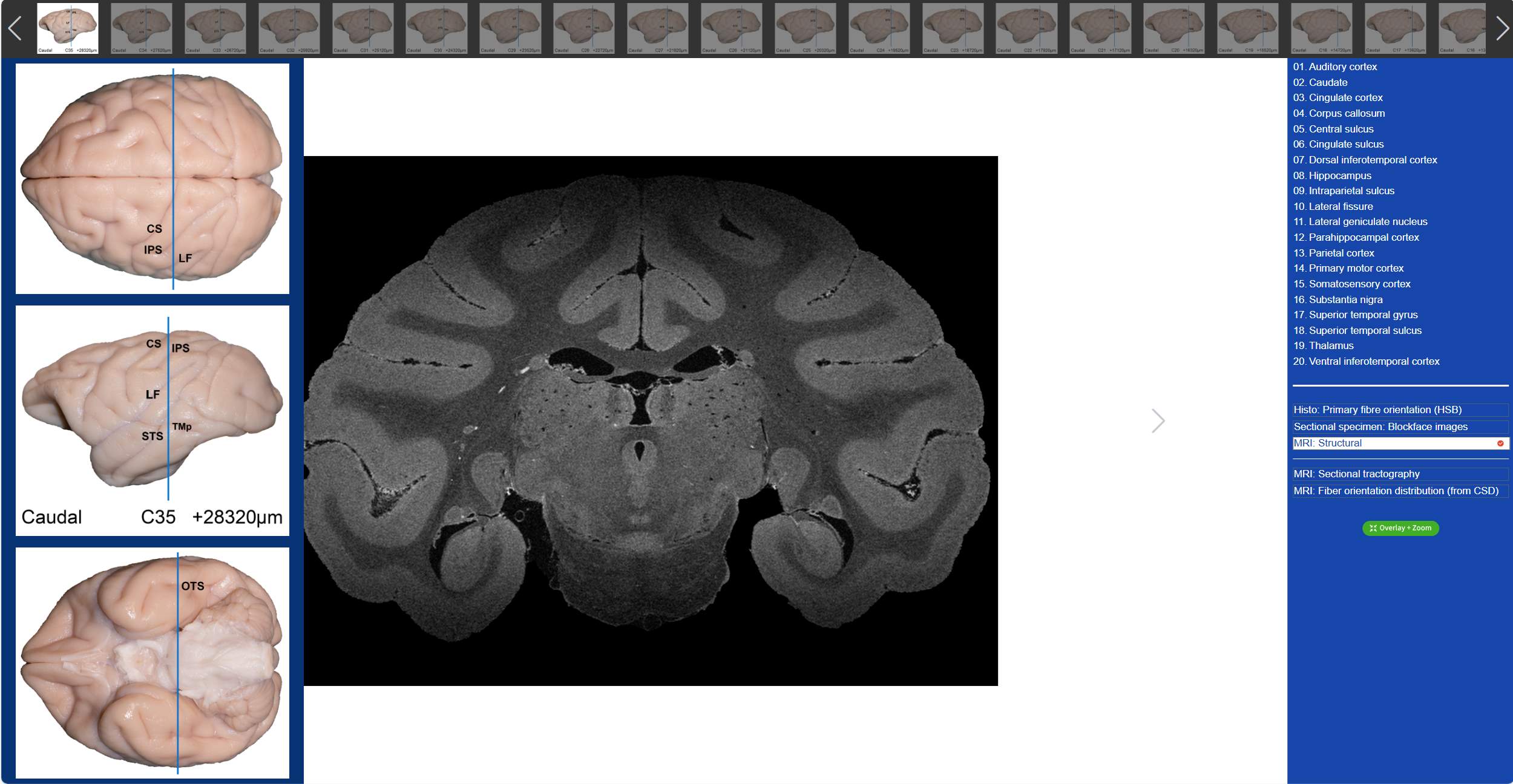 1720497049160508.jpg 微信图片_20240709092600.jpg