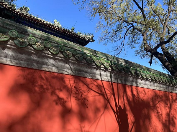 1733189503554120.jpg 红墙.jpg