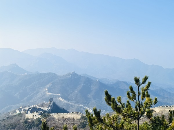 1733189846102209.jpg 长城.jpg